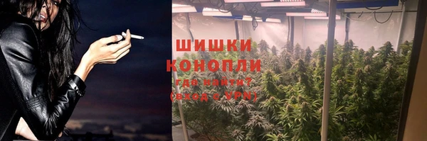 МДПВ Осташков