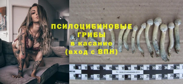 МДПВ Осташков