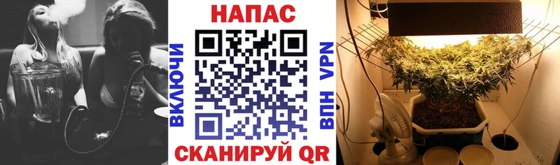 где найти   Пучеж  Марихуана план 